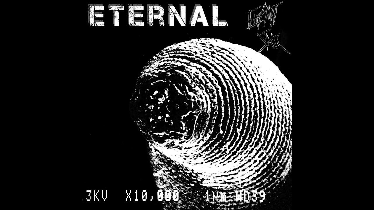 Errant Static - 