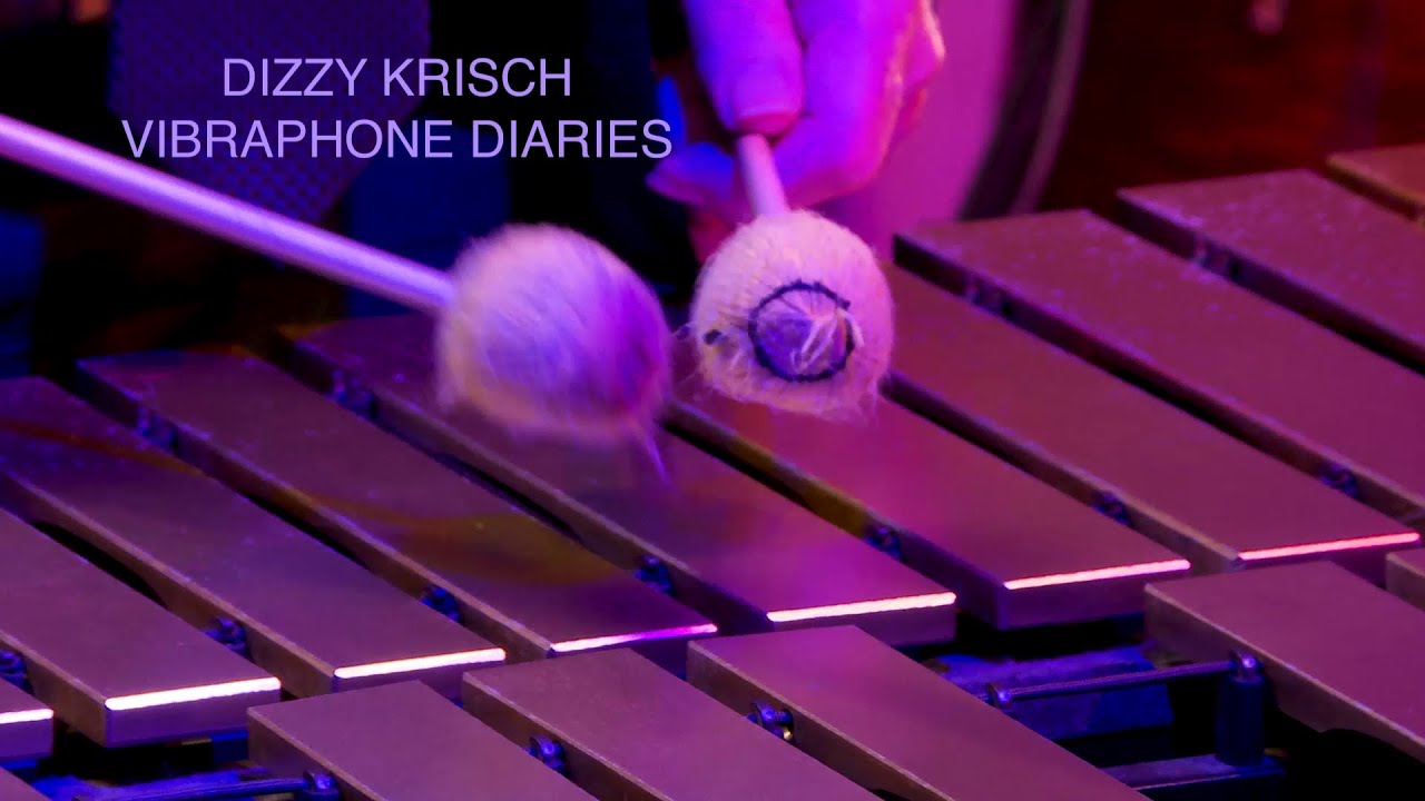 Dizzy Krisch Vibraphone Diaries Live