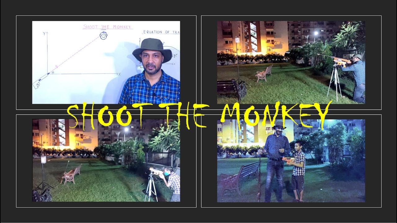 Shoot  the Monkey