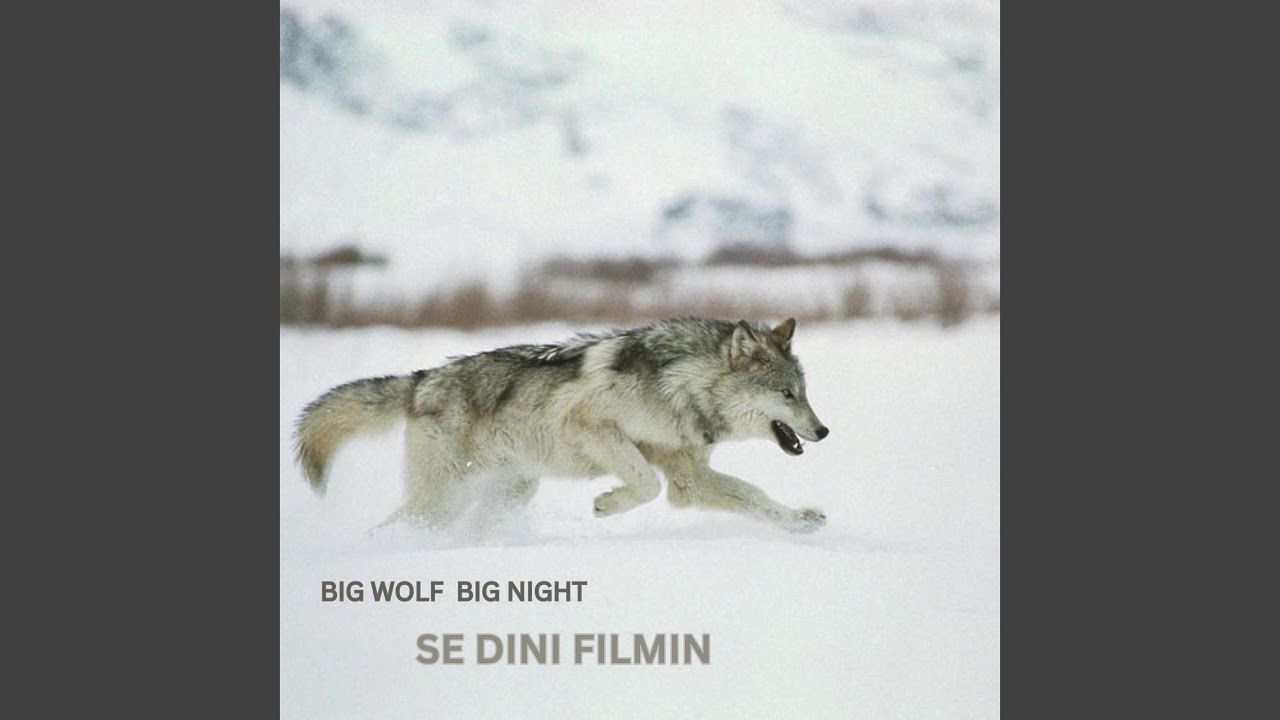 Se Dini Filmin