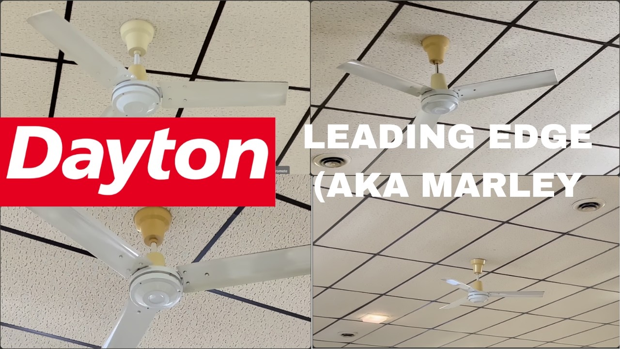 4 Dayton leading edge’s (AKA Marley)