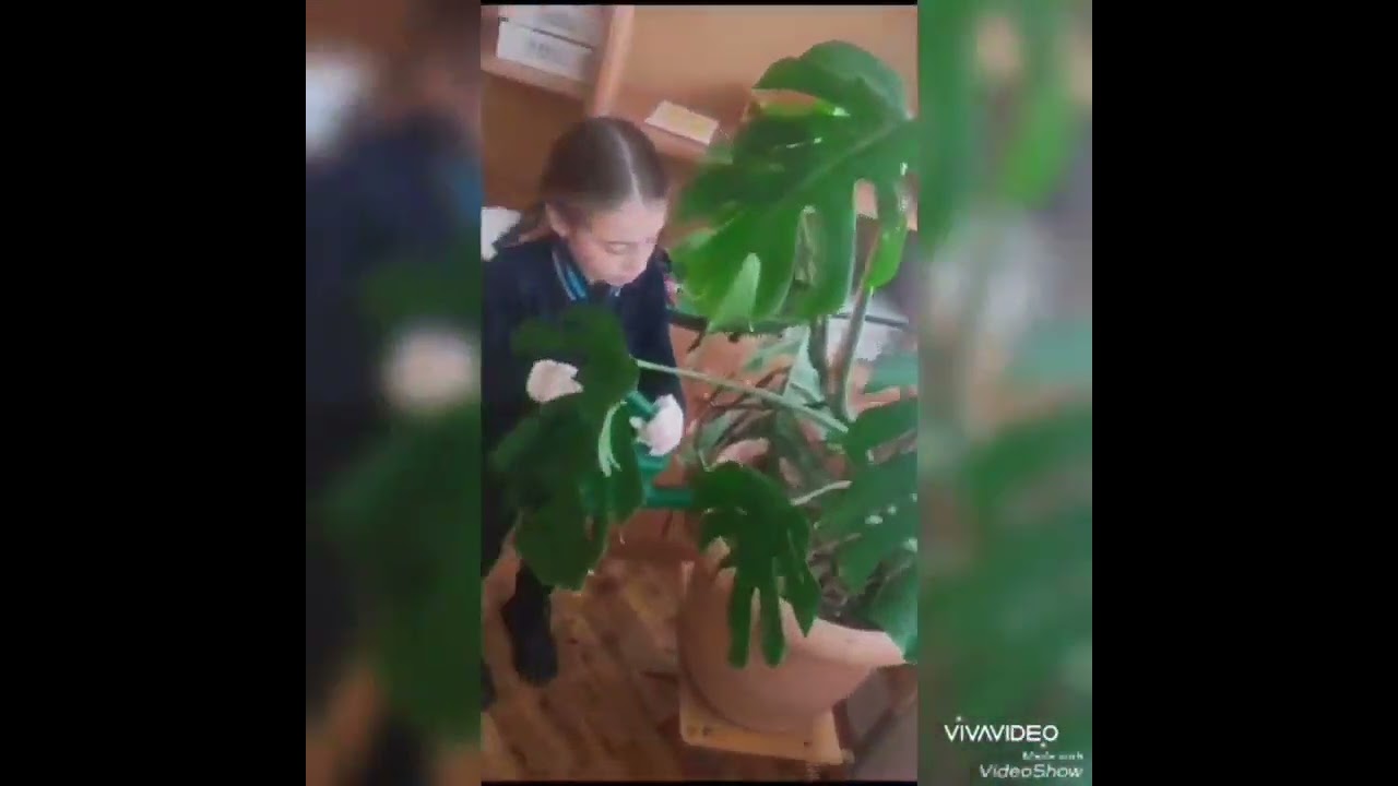 Gəlin evimizi birgə qoruyaq!