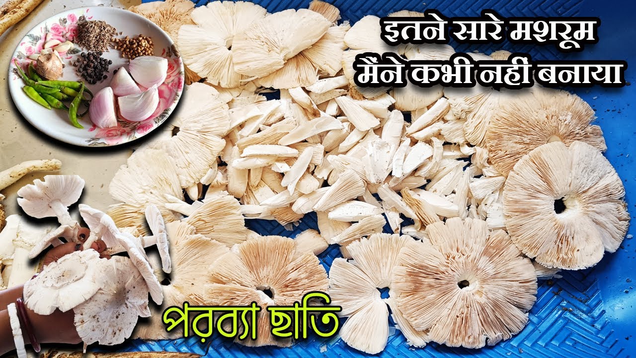 Dehati Khukhdi kaise banaye | How to cook natural mushroom | Kadhani chati recipe