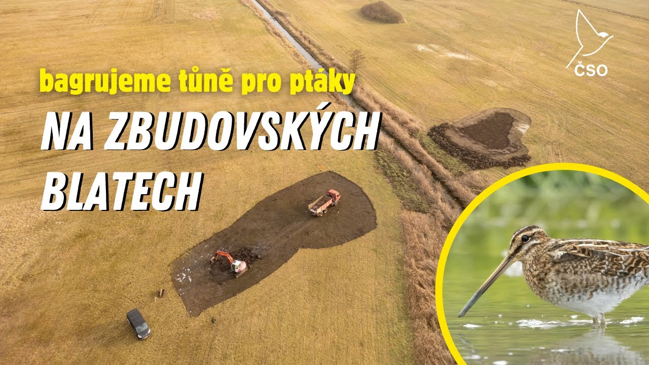 Bagrujeme tůně pro ptáky v ptačím parku Zbudovská blata