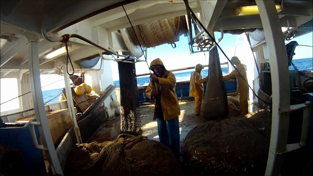 pescatourisme à Sete
