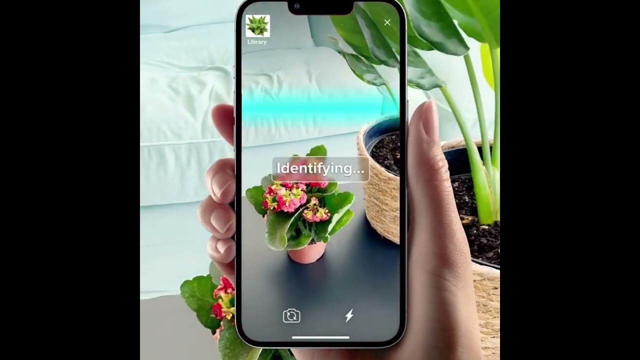 Plantapp - Care and Disease