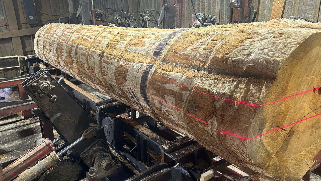 Saw-Milling a 24 Inch Diameter Red Oak in the Saw Booth! #198