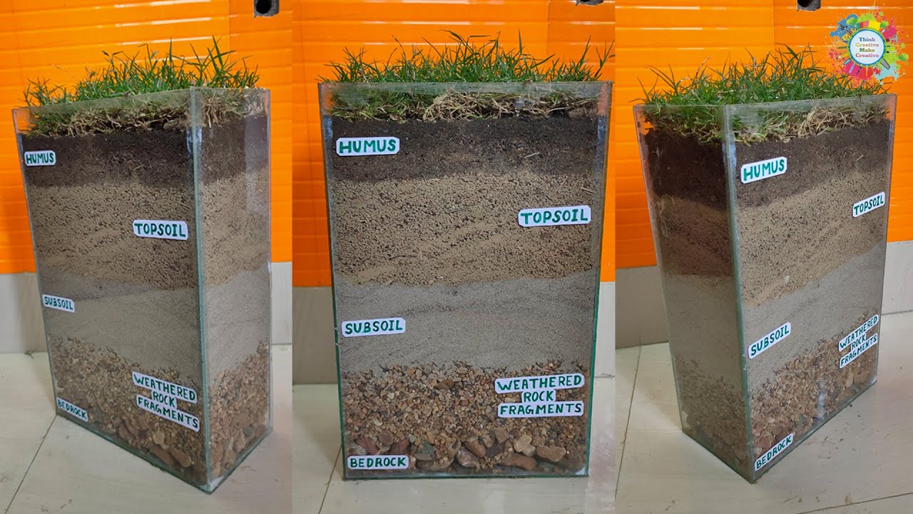 How to Make Soil Profile Project for school/college students