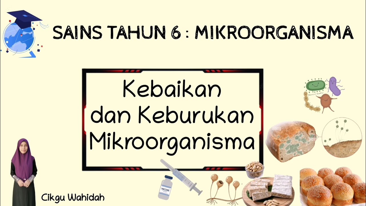 SAINS TAHUN 6 : MIKROORGANISMA (Kebaikan dan Keburukan Mikroorganisma)