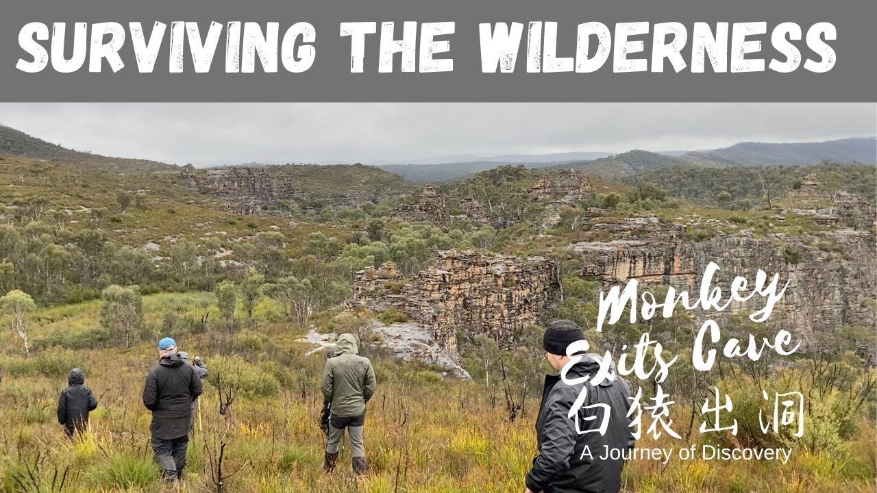 Surviving the Wilderness of the Blue Mountains