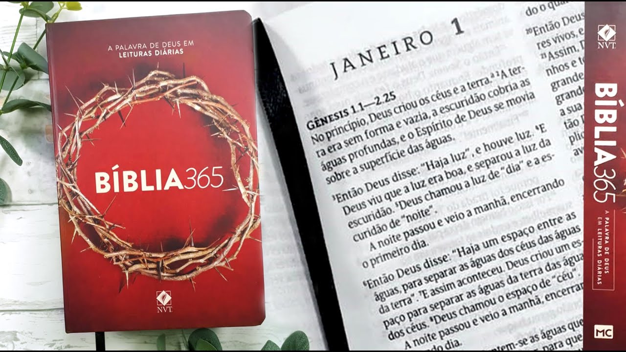 REVIEW BÍBLIA 365 DESAFIO leia a Bíblia TODA em 1 ano!!!