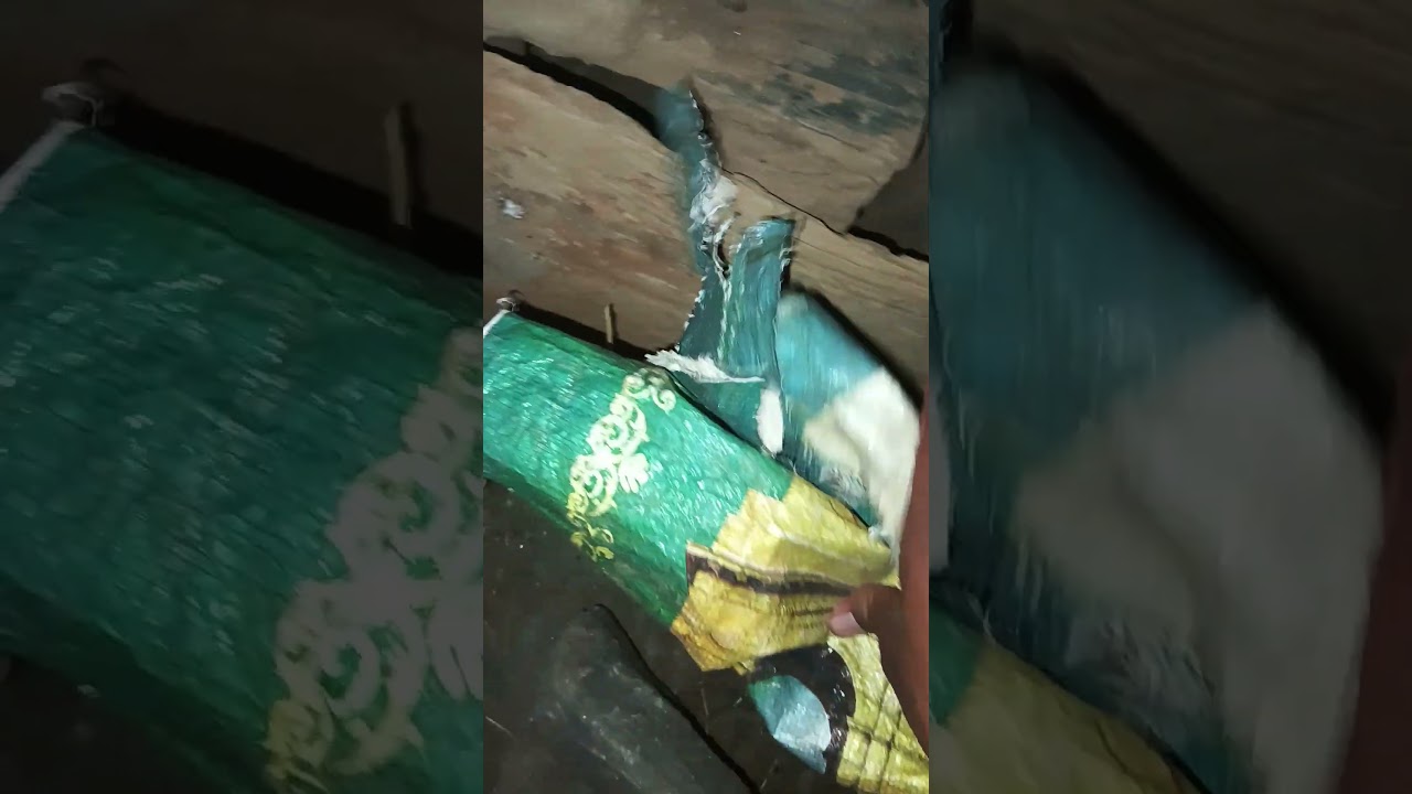 Muregha or murghi ka ghar....मुरेघा और मुर्गी का घर #murgifarm #vloggerlife #vloggerlife #daily...