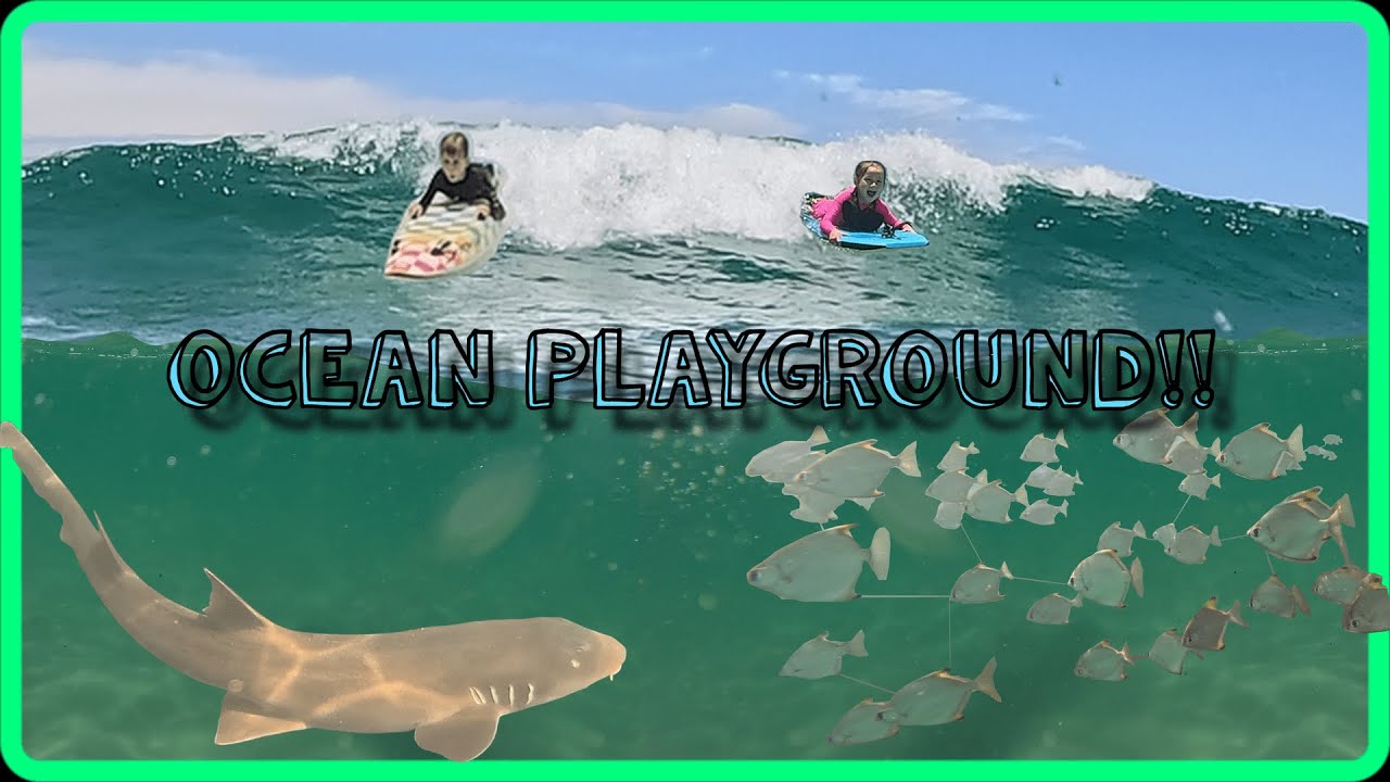 Snorkeling & Surfing the Gold Coast Seaway SHARK Encounter!