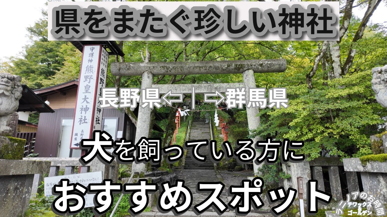 【必見】犬連れの方にオススメ！！　県境に佇む珍しい神社♪　ワンコと一緒に楽しく参拝♡　軽井沢方面へ行かれる方はぜひ行ってみて🐶                 #ラニノアのお時間  #laninoa