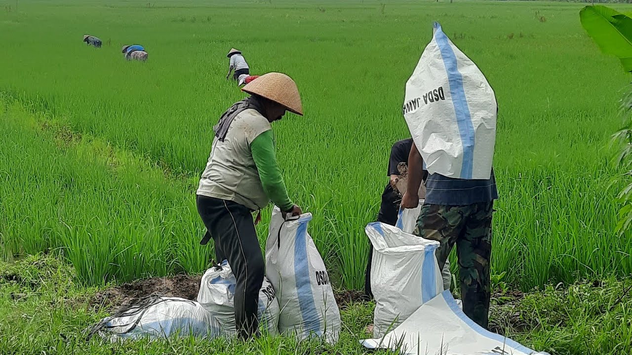 Jajang Mulyana sedang live sekarang!