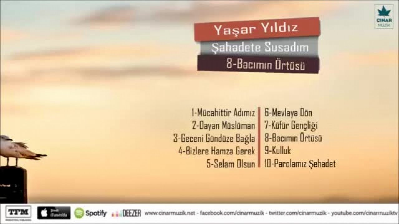 Yaşar Yıldız - Bacımın Örtüsü