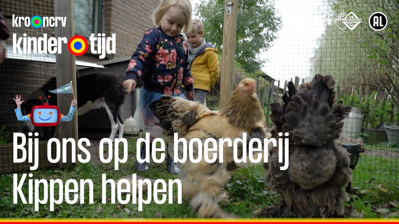 Kippen helpen | Bij ons op de boerderij 🐴🐱🐶| Kindertijd KRO-NCRV