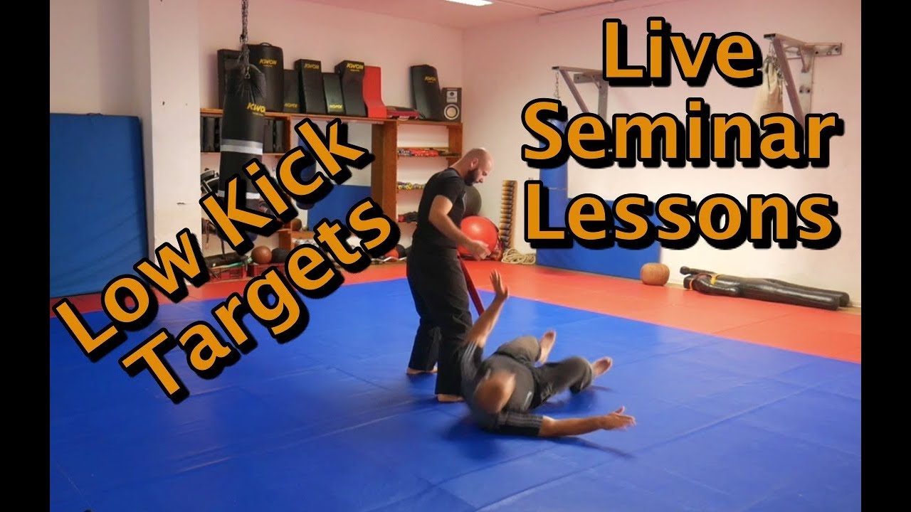 Live Seminar Lessons: Low Kick Targets