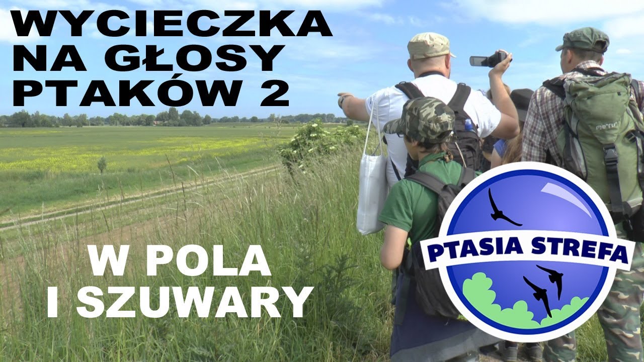 Wycieczka na głosy - pola i szuwary
