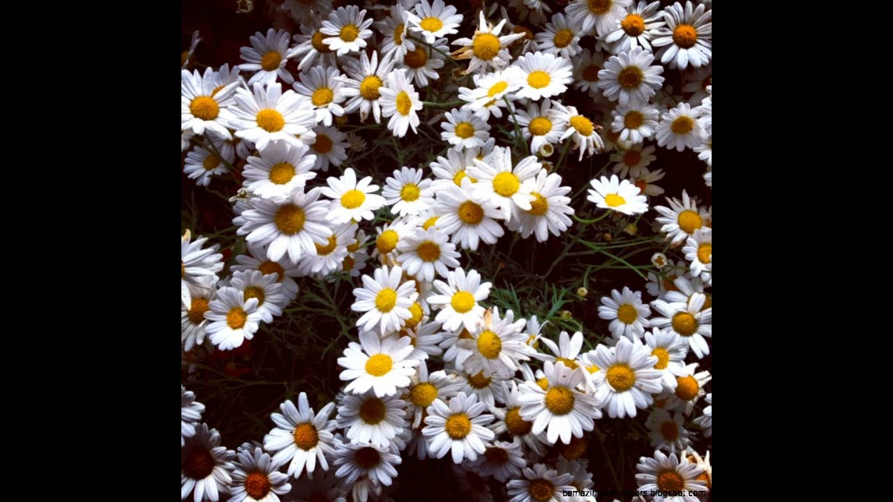 Usotsuki Anta Cover【歌ってみた】