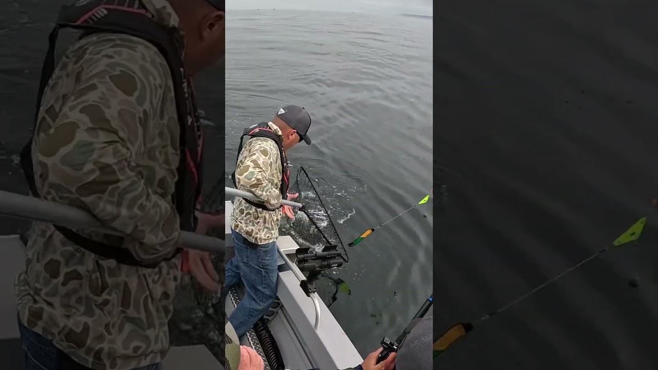 1 in the box! #trending #greatpnw #fish #shorts #fyp #silver #cohofishing #oregon #salmon