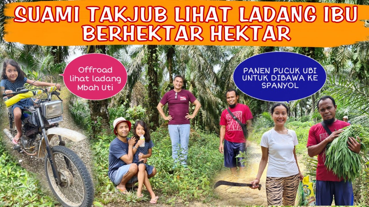 PERTAMA KALI AJAK SUAMI & ANAK KE LADANG SAWIT