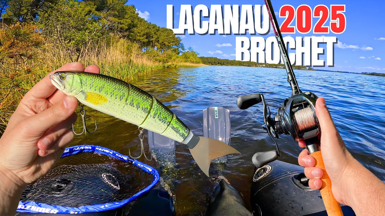 Pêche du Brochet au BIG BAIT : Lac de LACANAU