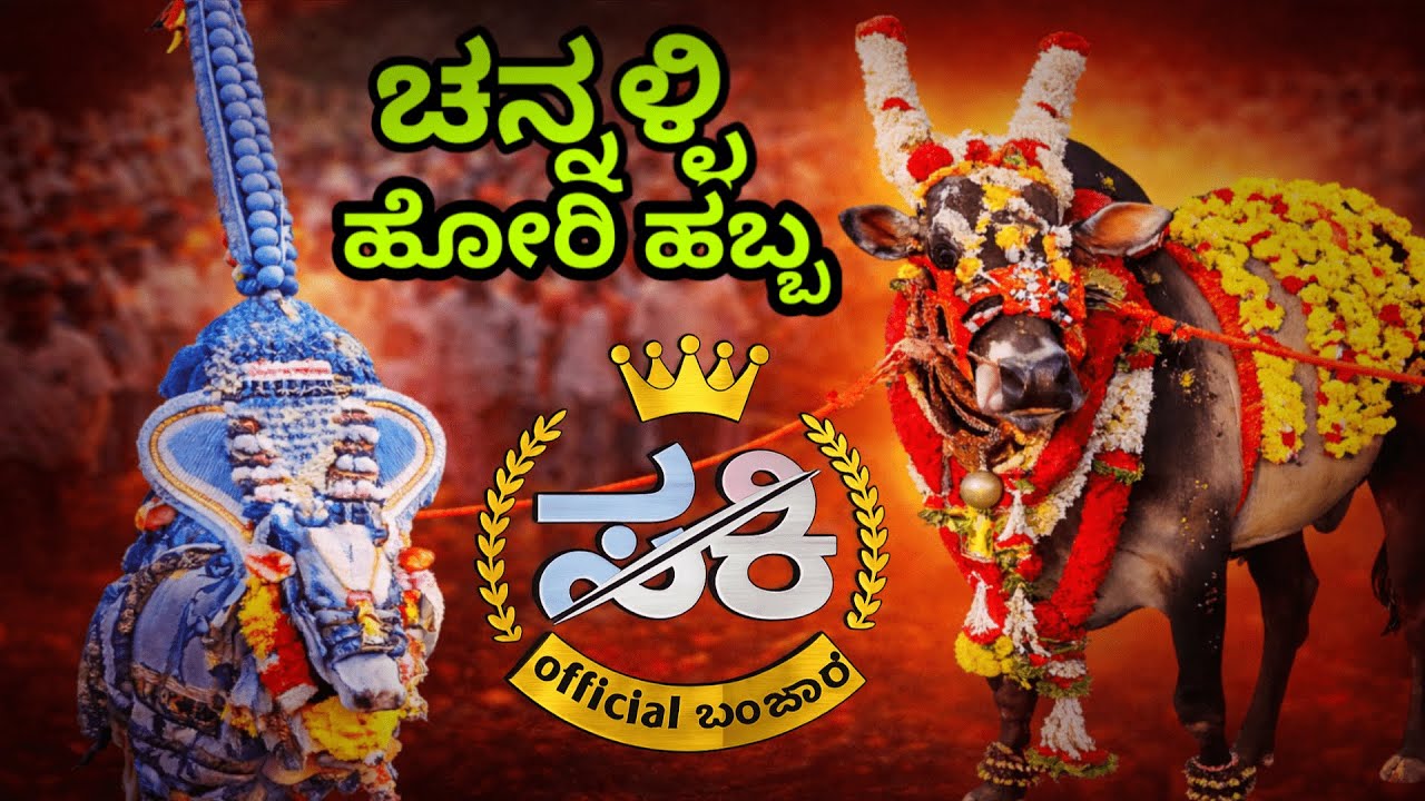 ಚನ್ನಳ್ಳಿ ಹೋರಿಹಬ್ಬ /channalli horihabba.  ಹೋರಹಬ್ಬದ ಅಪ್ಪಟ ಅಭಿಮಾನಿ ✅🐂