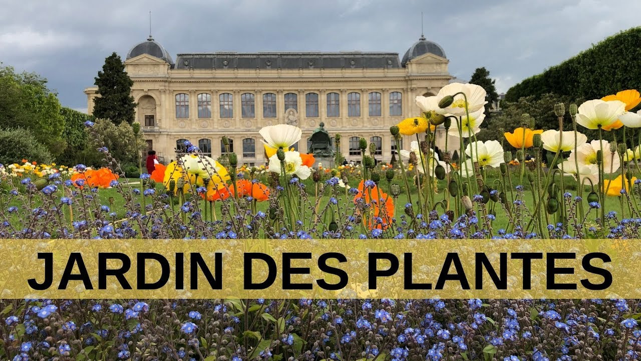 O MAGNÍFICO JARDIM DAS PLANTAS EM PARIS / JARDIN DES PLANTES