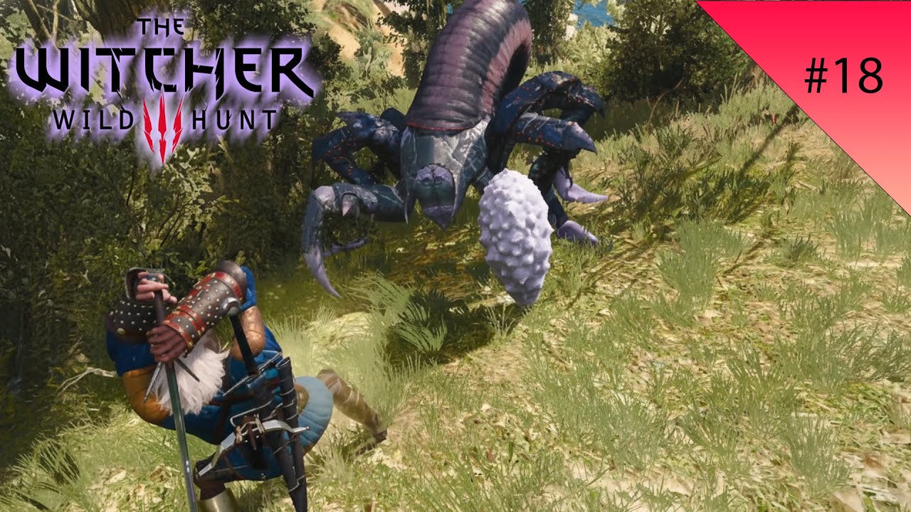 THE WITCHER III  - #18 -  ME HAGO EL EQUIPO DEL GATO