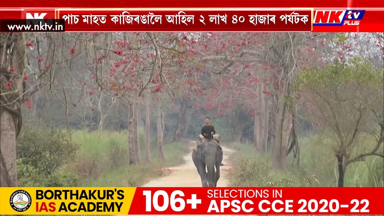 কাজিৰঙা ৰাষ্ট্ৰীয় উদ্যানৰ বাবে ভাল খবৰ