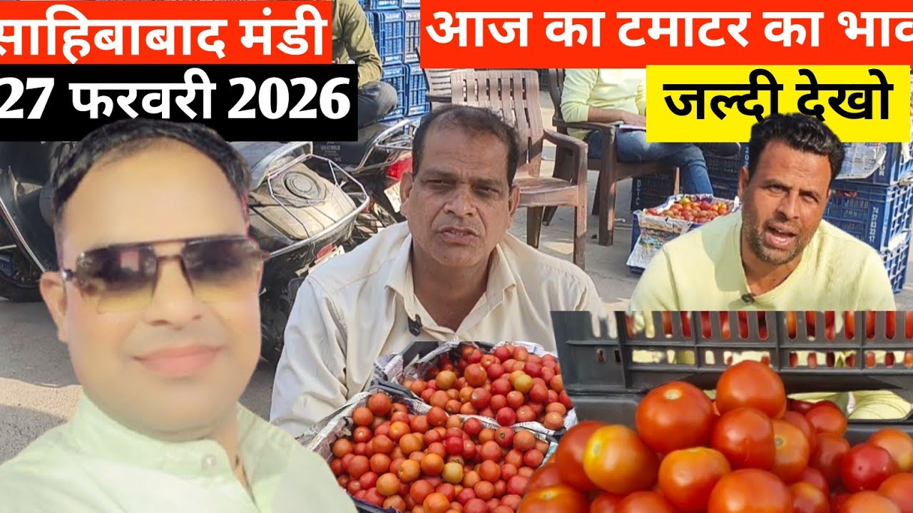Why This Indian Mandi is Full of Tomatoes 🍅आज का टमाटर  भाव