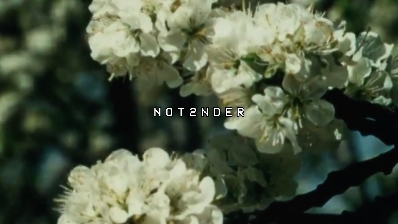 not2nder - Scarlet Wind (feat. JSON)