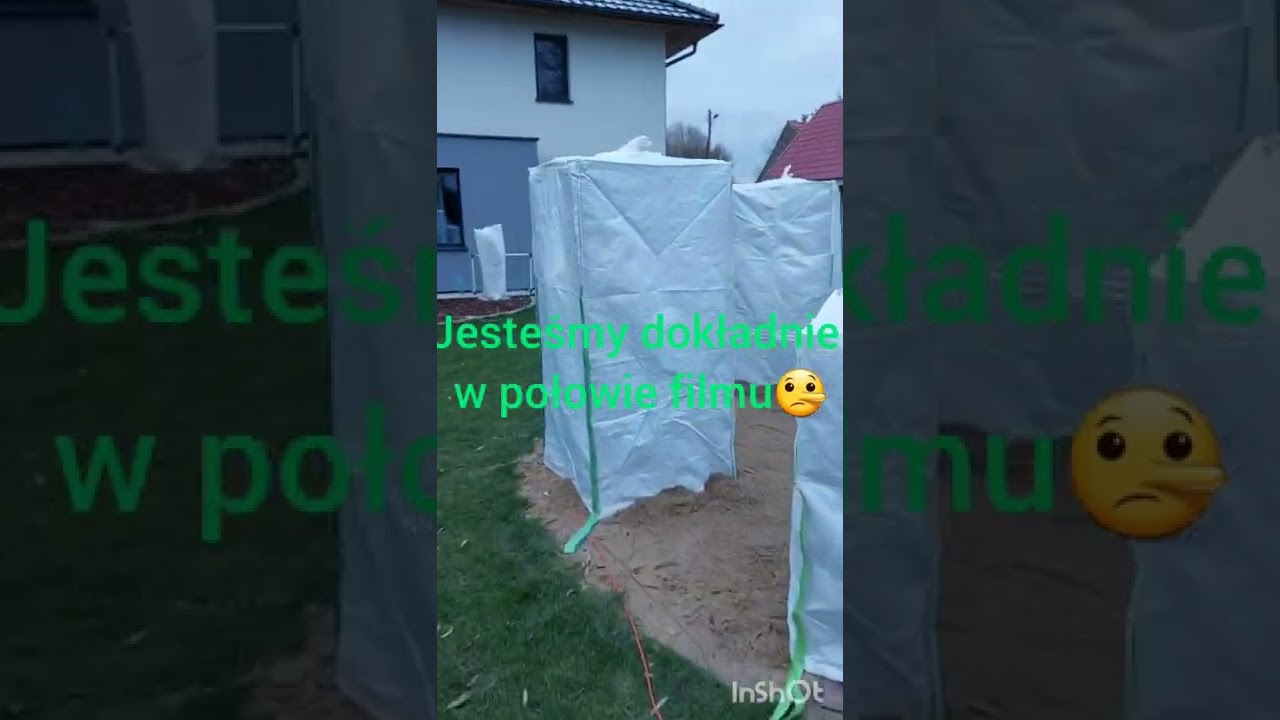 Odcinek 16#  Węże świetlne dla trachycarpusów🌴 Palmy i rośliny śródziemnomorskie a mróz -8,5°C❄️💪