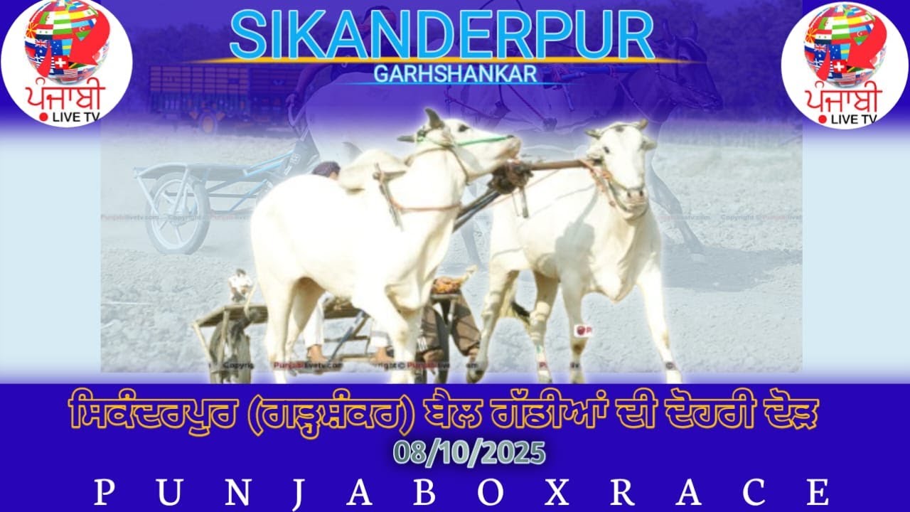 🔴[Live] ਸਿਕੰਦਰਪੁਰ (ਗੜ੍ਹਸ਼ੰਕਰ) ਬੈਲ ਗੱਡੀਆਂ ਦੀ ਦੋਹਰੀ ਦੋੜ 08 ਦਸੰਬਰ 2025