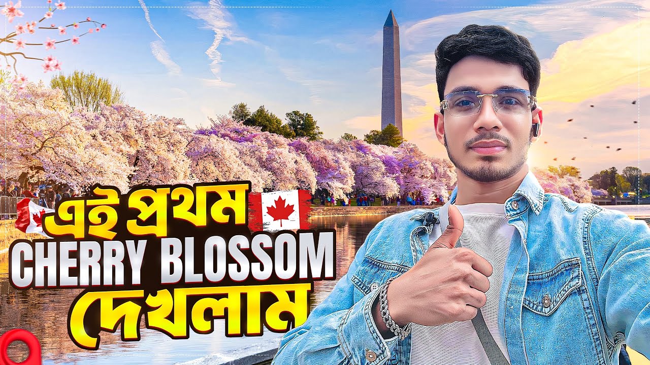এই প্রথম চেরি ব্লসম দেখলাম  | High Park Cherry Blossom Toronto 2025 | Bangla Vlog | Spring in Canada