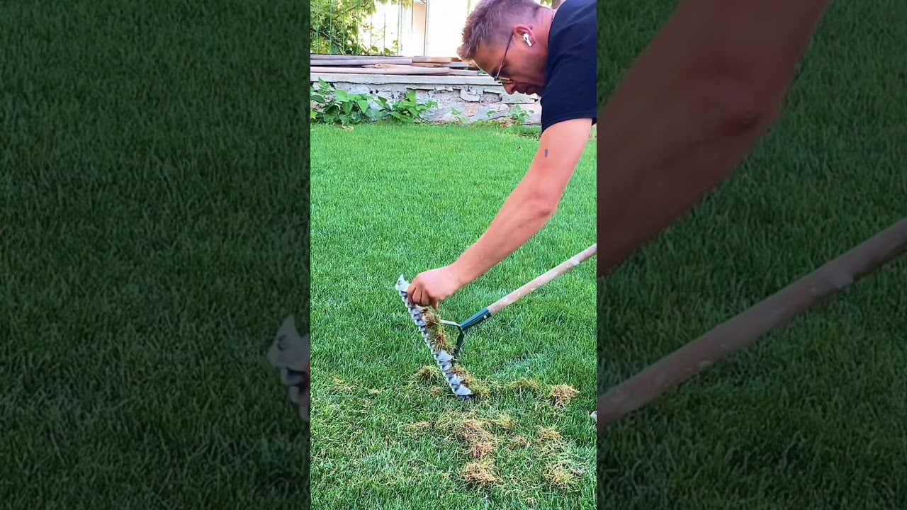 &Ccedil;im Havalandırma Tırmığı İle Tanışın! #lawncare  #lawnmower #lawnmaintenance #lawnmaintenance