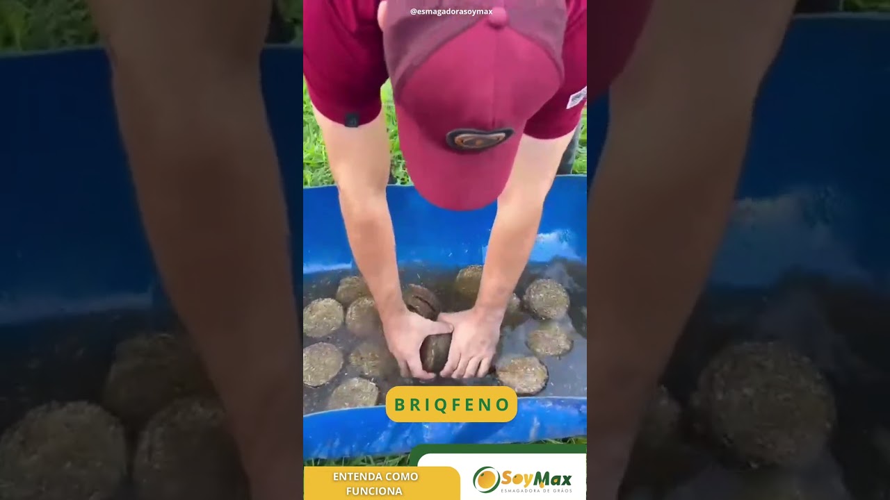 Como funciona o BRIQFENO SOY MAX…
