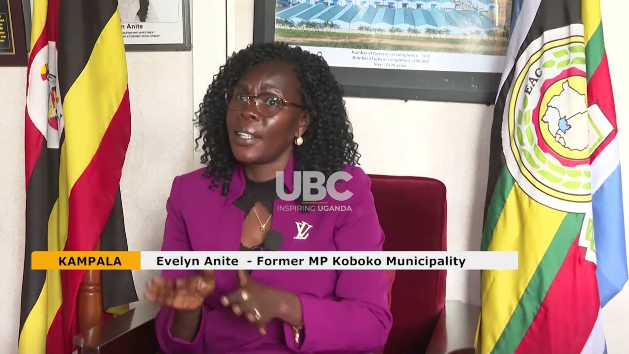 Anite Slams NRM Primaries as a “Scene of Crime”