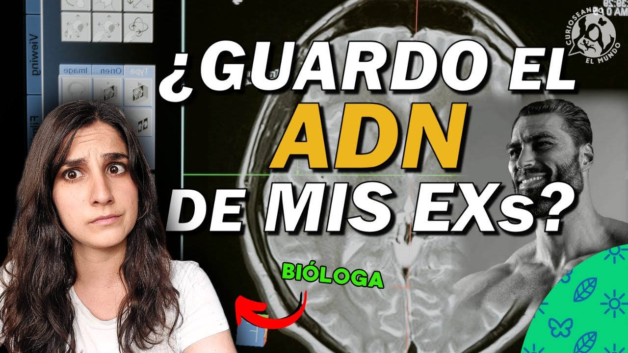 ¿Las MUJERES almacenamos el ADN de nuestros AMANTES? | La verdad sobre el MICROQUIMERISMO