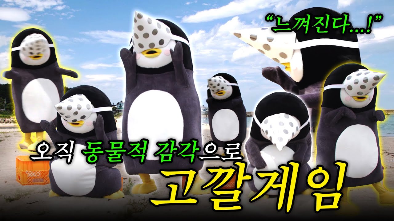 노란색만 보면 달려가게 되. 🏖️ 양양 해변에서 고깔쓰고 의자 뺏기 쟁.탈.전 🥊