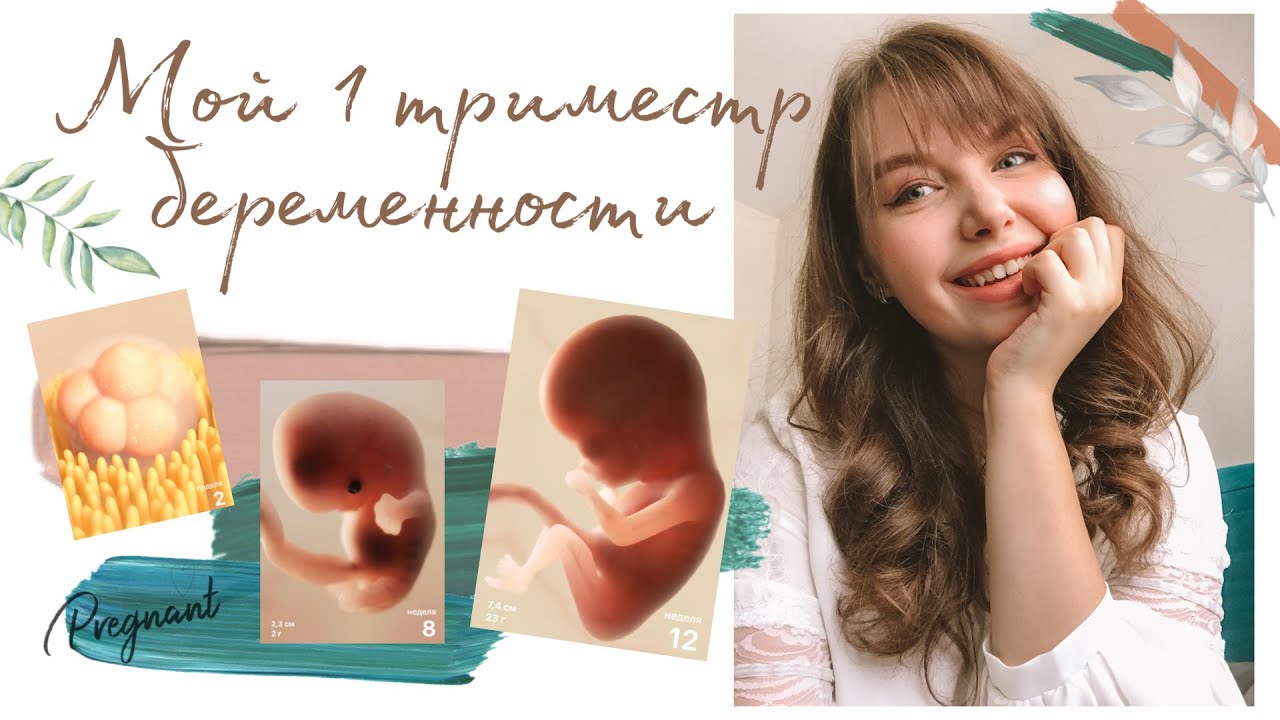 БЕРЕМЕННОСТЬ - МОЙ 1 ТРИМЕСТР  🤰