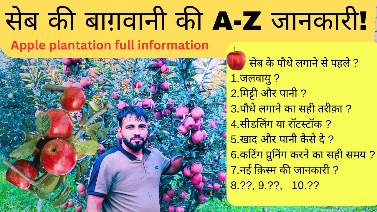 सेब की बाग़वानी कैसे करें जानें - Improved apple varieties and cultivation methods. Booking now #jhn