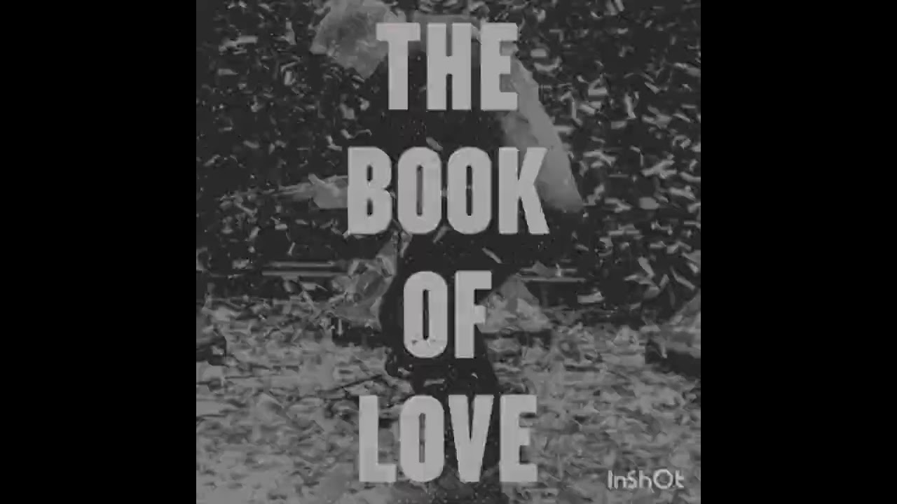 Röhlix - Book of Love [160Bpm] Hardtekk Remix