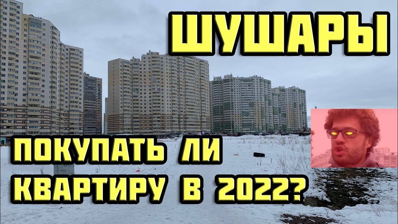 Обзор района Шушары | Стоит ли переезжать в Шушары в 2022?