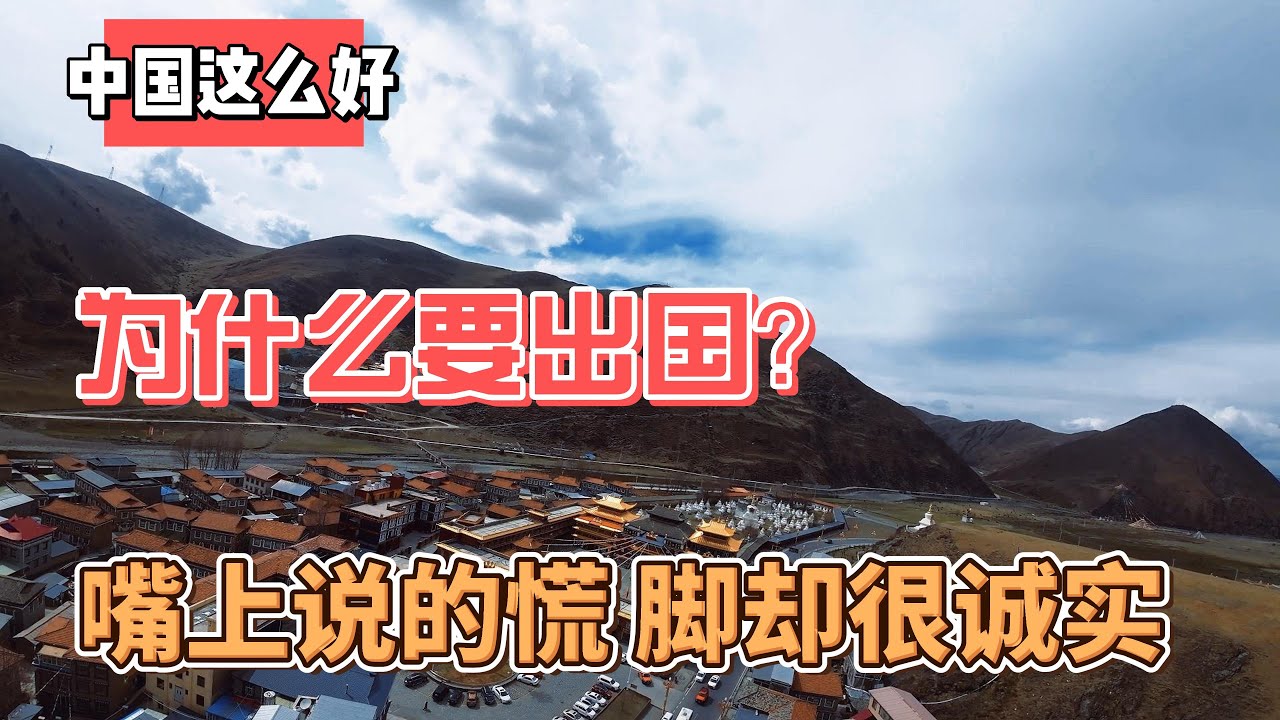 中国那么好，为什么要出国？嘴上说的慌，脚却很诚实