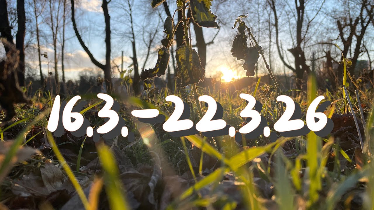 Wochenbotschaft🌀Die Vollendung einer ewigen Liebe