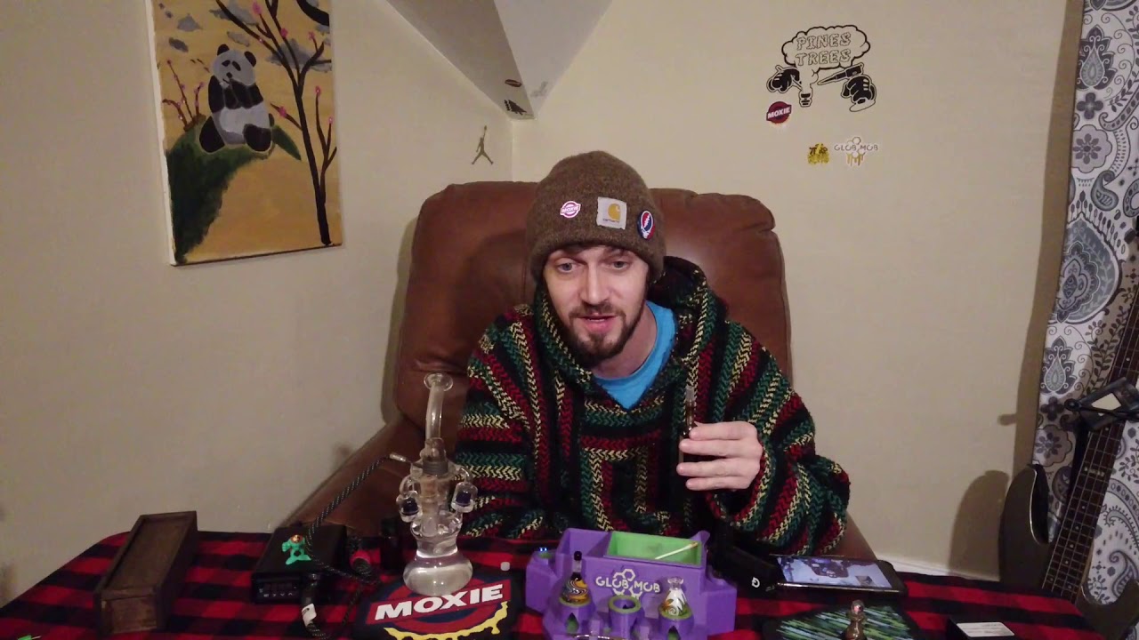 Moxie - Sunshine 4 X Casey Jones - Pines Trees Cannabis Reviews