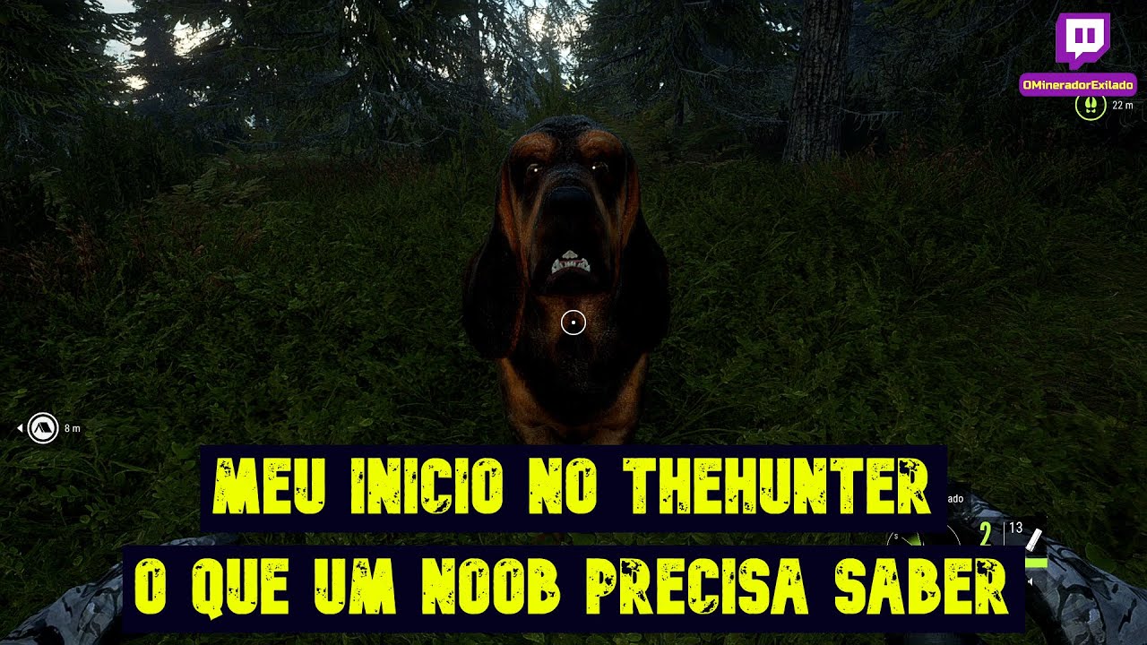 Comecei no theHunter - O que um noob precisa saber