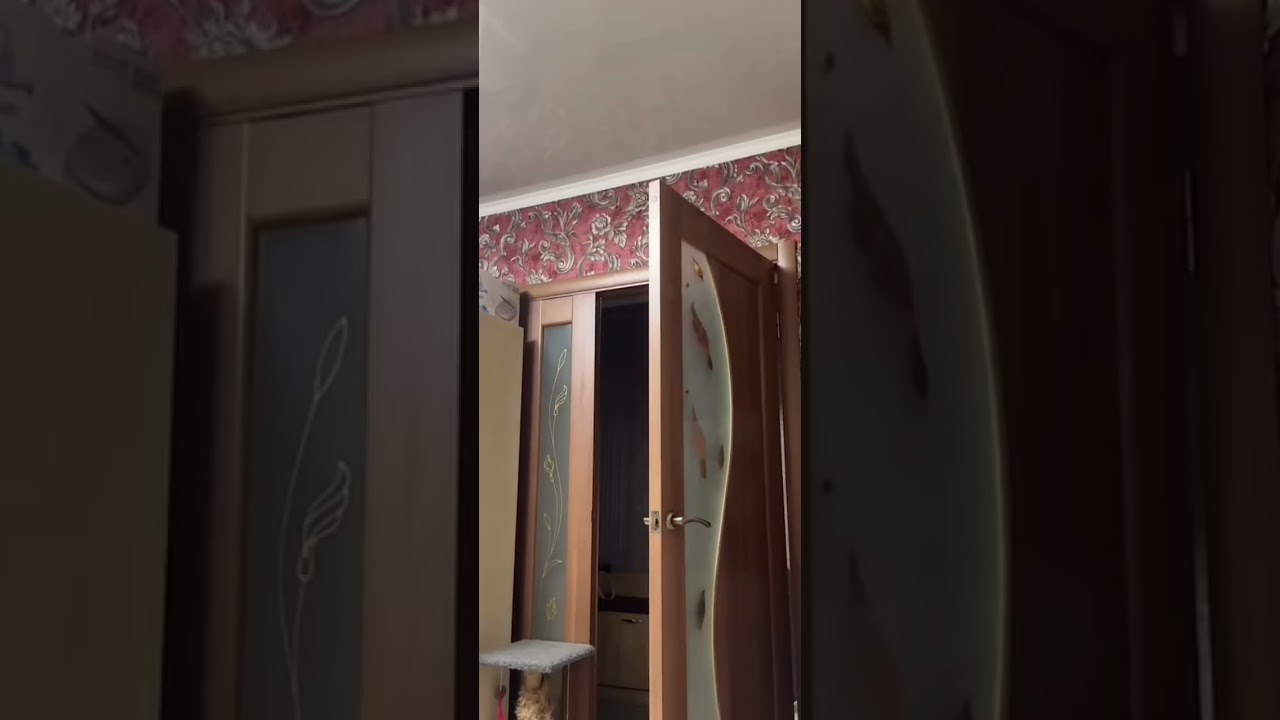 Periscope LIVE: ПРЕКРАСНАЯ ДЕВУШКА💚 #periscope #live #cute #broadcast #periscopelive #viralvideo ...
